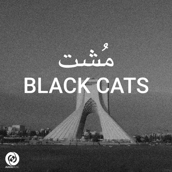 Black Cats - Mosht