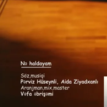 Aida Ziyadxanli - Özlemişem