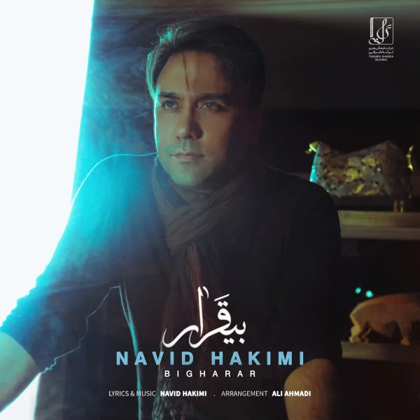 Navid Hakimi - Bigharar