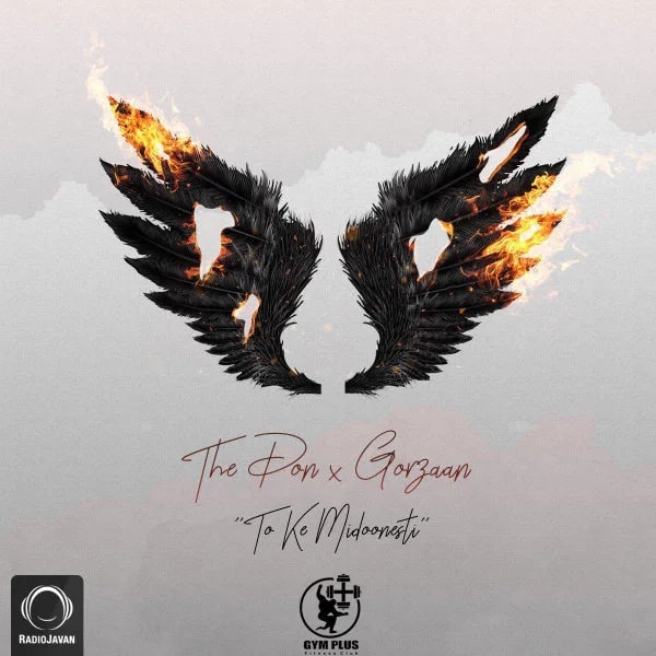The Don - To Ke Midoonesti (Ft Gorzaan)