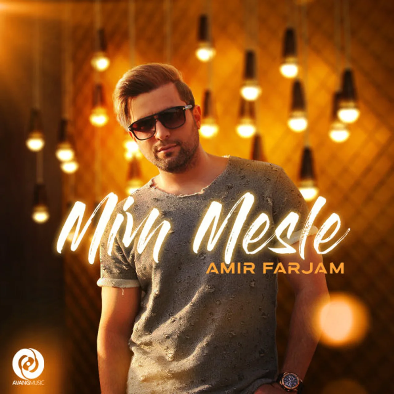 Amir Farjam - Mim Mesle