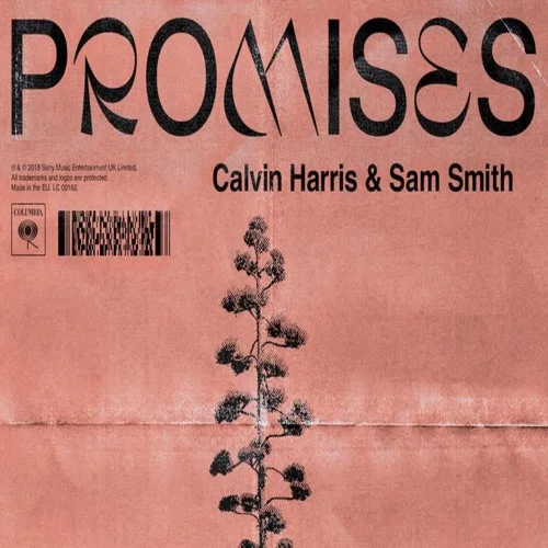Calvin Harris - Summer