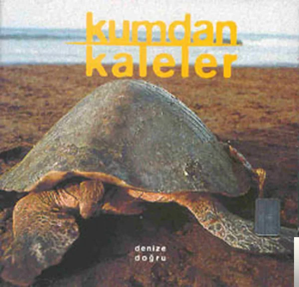 Kumdan Kaleler - Gökanlam