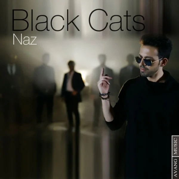 Black Cats - Naz