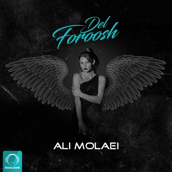 Ali Molaei - Delforoosh