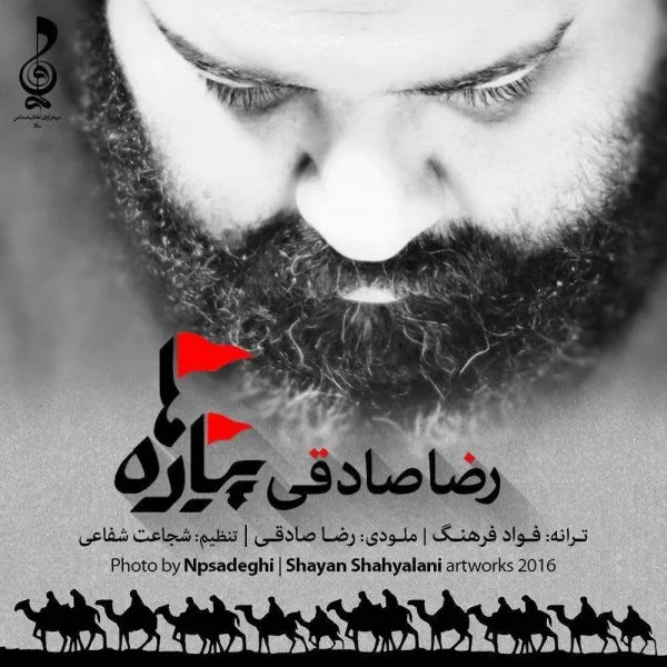 Reza Sadeghi - Piadeha