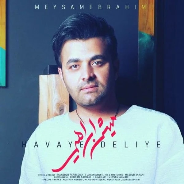 Meysam Ebrahimi - Havaye Deliye