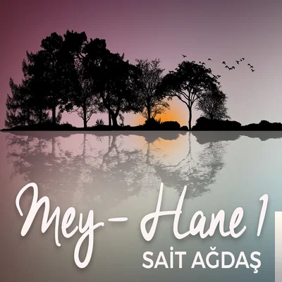 Sait Ağdaş - Şu Dağları Delmeli