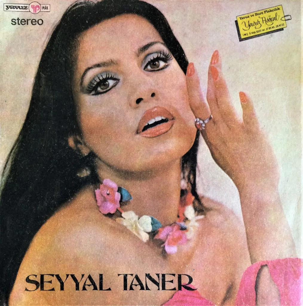 Seyyal Taner - Hadi Git