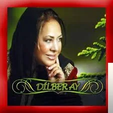 Dilberay - Taşa Dönderdin