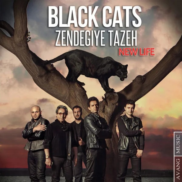 Black Cats - Zendegiye Tazeh