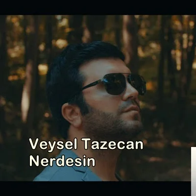 Veysel Tazecan - feat Ahmet Altın-Kaderim Sensin