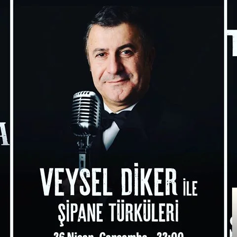 Veysel Diker - Ayletme Beni