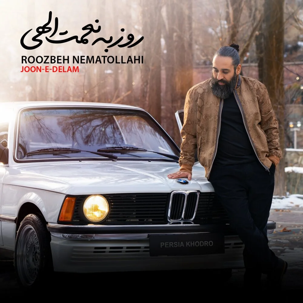 Roozbeh Nematollahi - Joone Delam