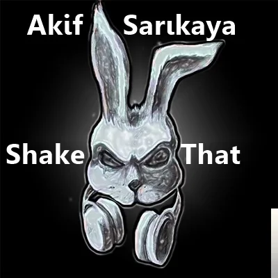 Akif Sarıkaya - Mintemen