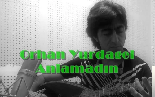 Orhan Yurdagel - Anlamadın