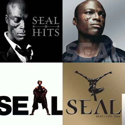 Seal - Do You Ever