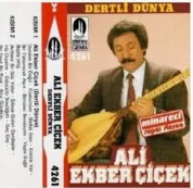 Ali Ekber Çiçek - Hazin Hazin Eser