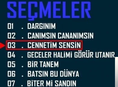 Hüseyin Altın - Vurdular Beni