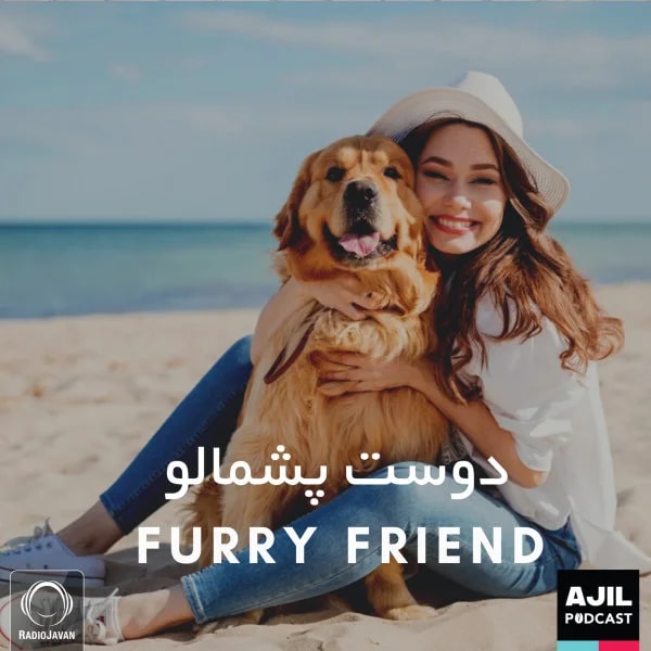 Ajil - Furry Friend