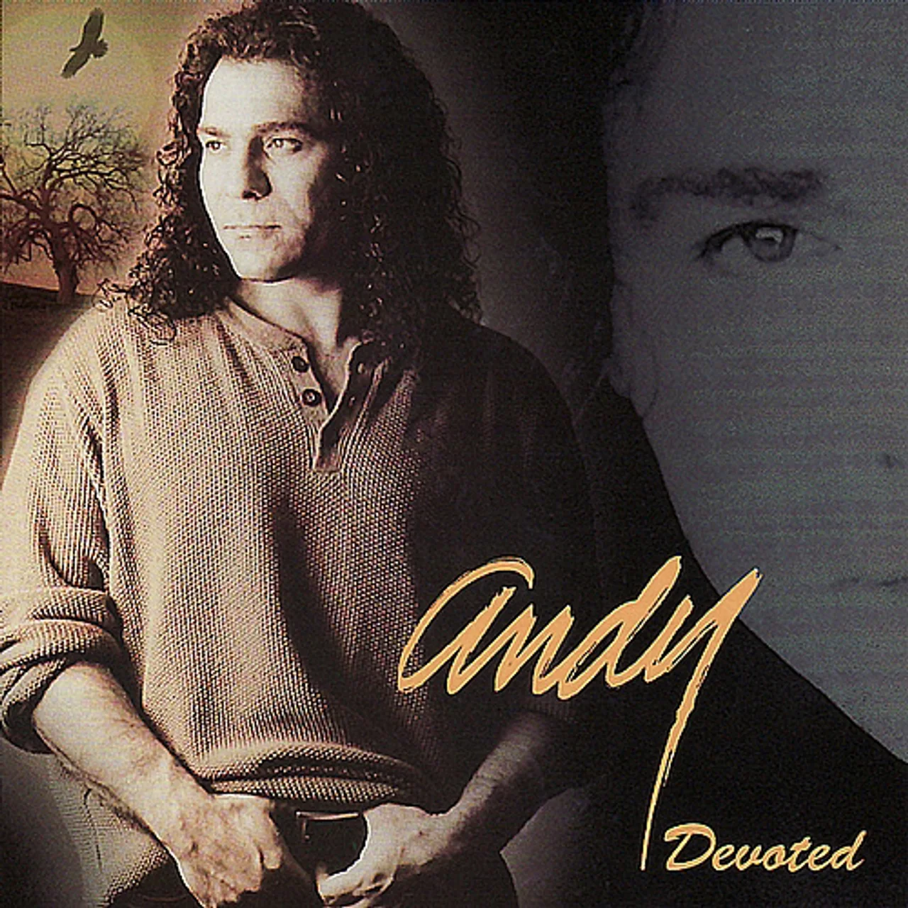 Andy - Tavalod