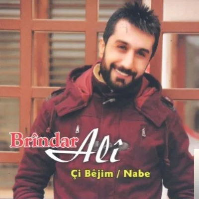 Brindar Ali - Çi Bejim