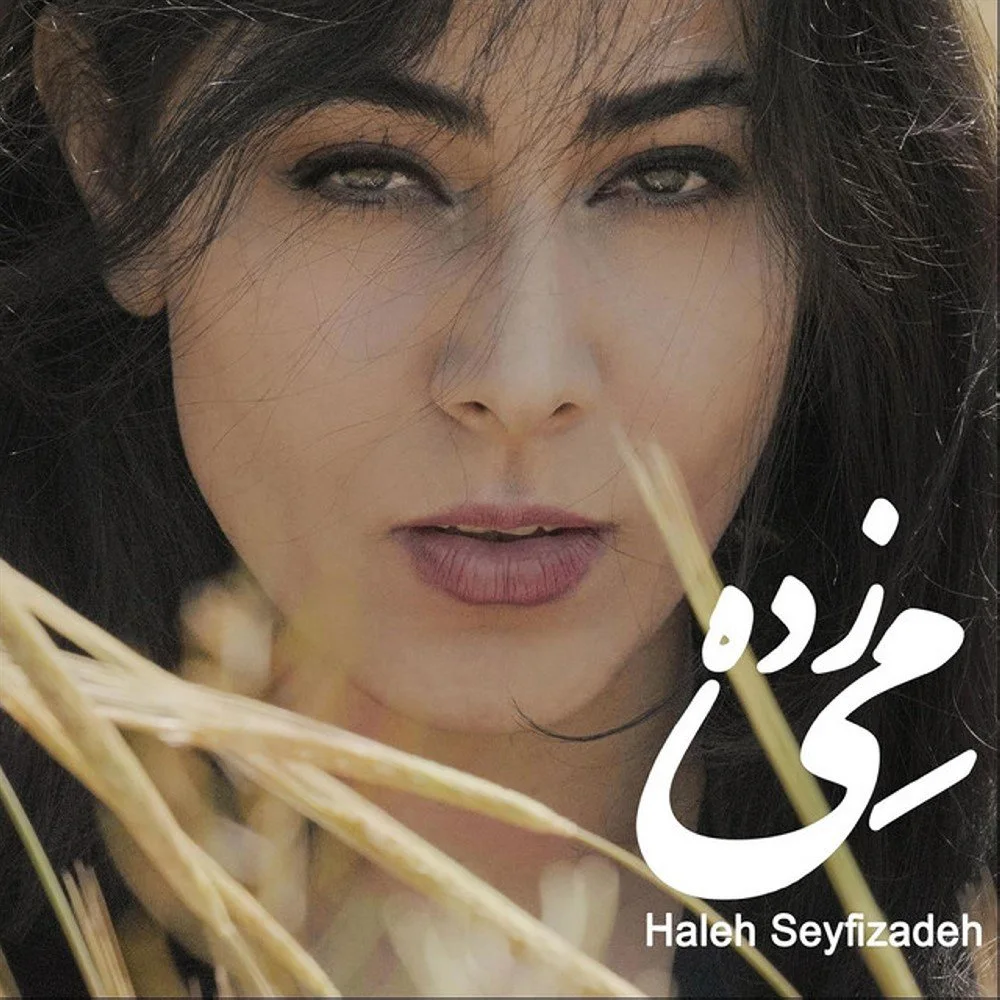Haleh Seyfizadeh - Meyzadeh