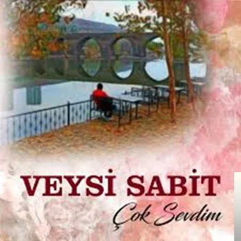 Veysi Sabit - Ne Oldu Sana Böyle