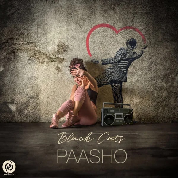 Black Cats - Paasho