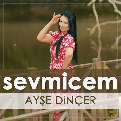 Ayşe Dinçer - Sevmicem