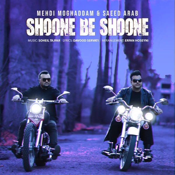 Mehdi Moghadam & Saeed Arab - Shoone Be Shoone