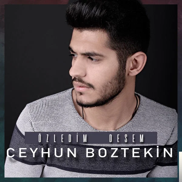 Ceyhun Boztekin - Özledim Desem