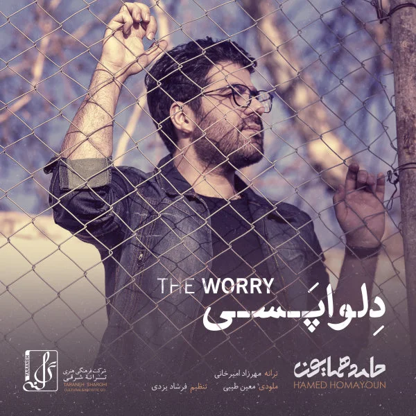 Hamed Homayoun - Delvapasi