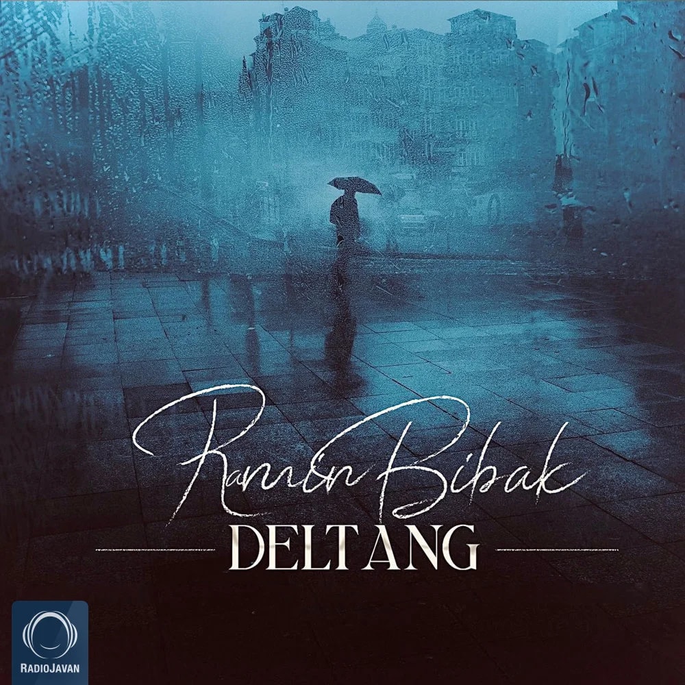 Ramin Bibak - Deltang