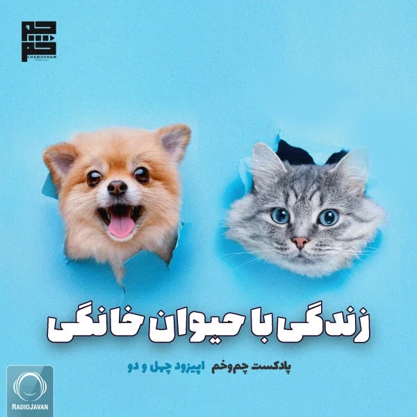 Chamokham - Zendegi Ba Heyvane Khanegi
