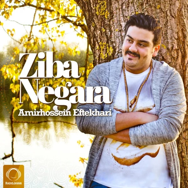 Amirhossein Eftekhari - Ziba Negara