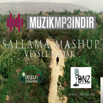 Veysel Badak - Sallama Mashup