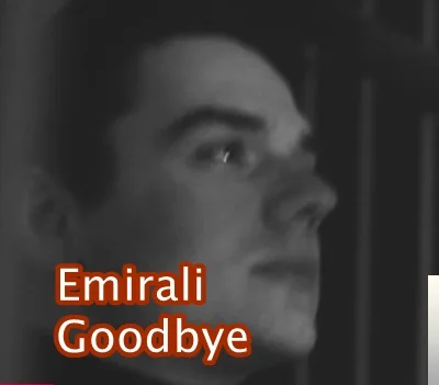 Emirali - feat Albin Hasani-Goodbye