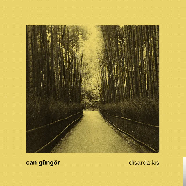Can Güngör - Dışarda Kış