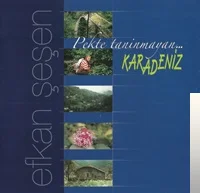 Efkan Şeşen - Su Ne Etsun Yanmişe