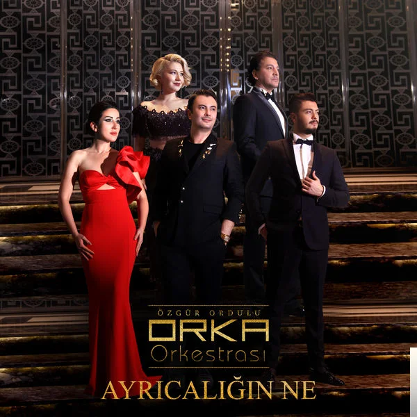 Özgür Ordulu Orka Orkestrası - Ayrıcalığın Ne