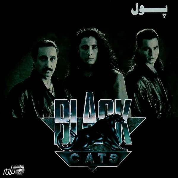 Black Cats - Pool