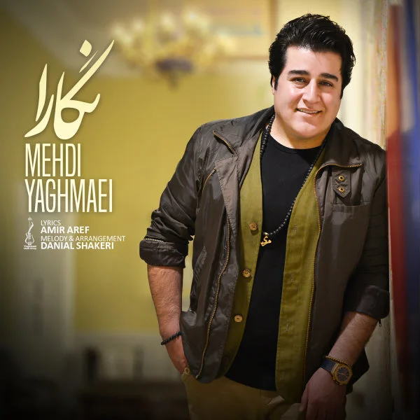 Mehdi Yaghmaei - Negara