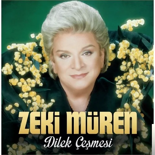 Zeki Müren - Dilek Çeşmesi