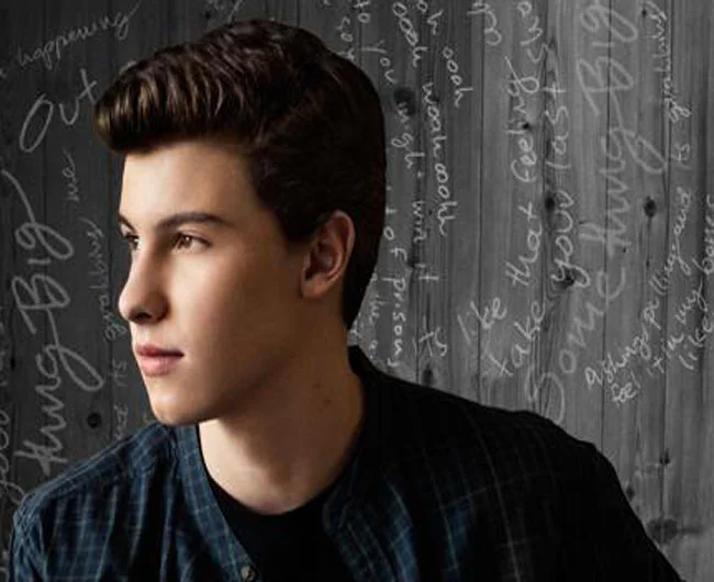 Shawn Mendes - If I Cant Have You