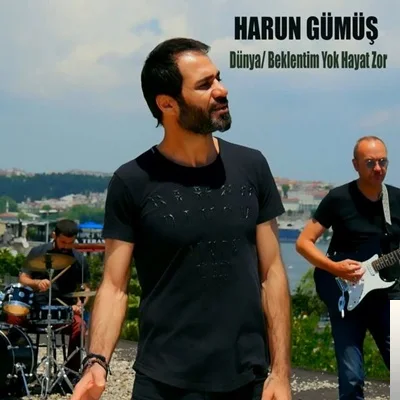 Harun Gümüş - Dünya