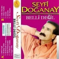 Seyfi Doğanay - Yaramı Deşmeyin