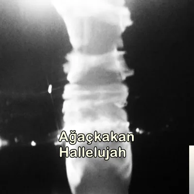 Ağaçkakan - Hallelujah