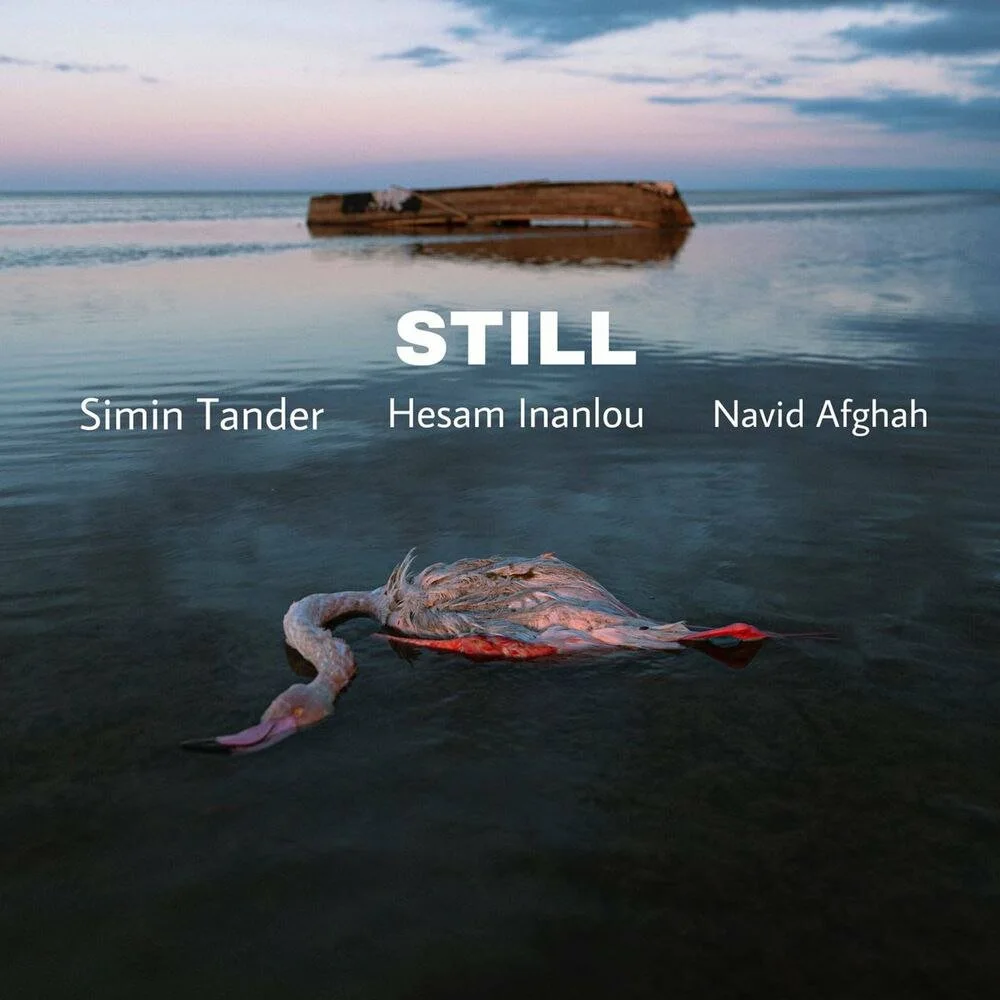 Simin Tander, Hesam Inanlou, Navid Afghah - Still