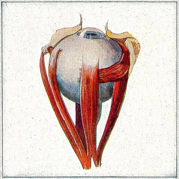Hichkas - Gerye Dare